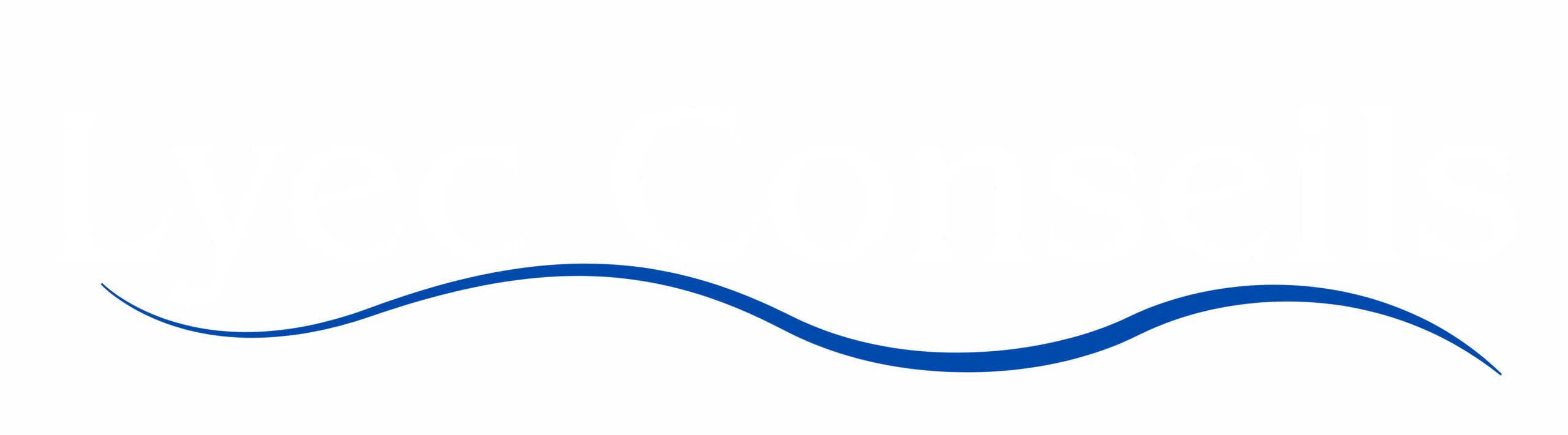 Lyec conseils